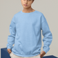 Men's Sweatshirt in Solid Baby Blue